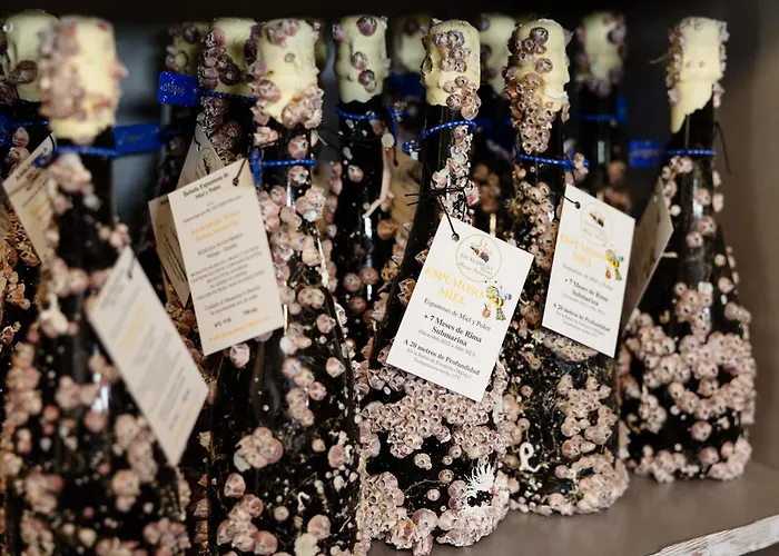 Luxurious 2 Bedroom Close To The In 에스테포나